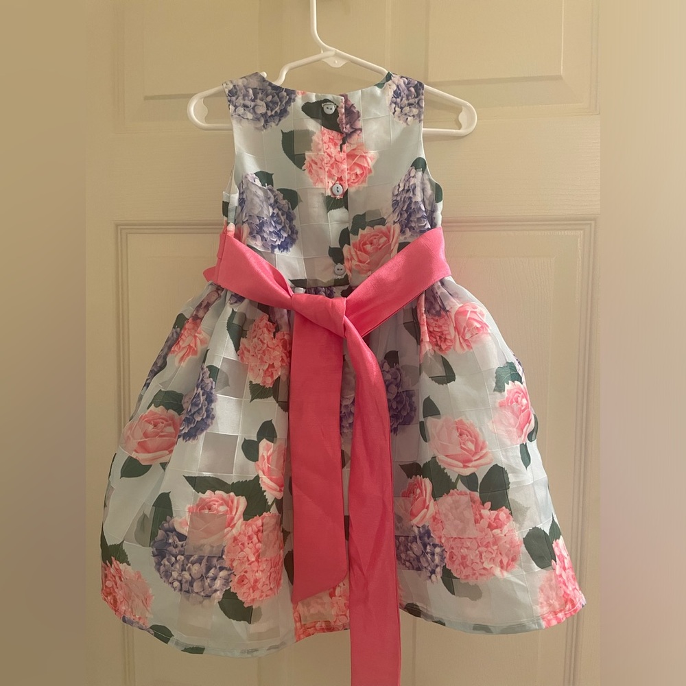 Nanette 2t floral blue and pink dress with bright pink sash - Picture 5 of 5
